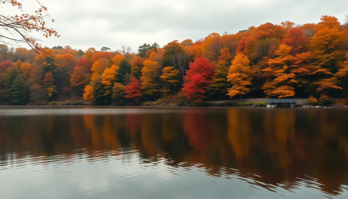 Autumn Colors by the Lake