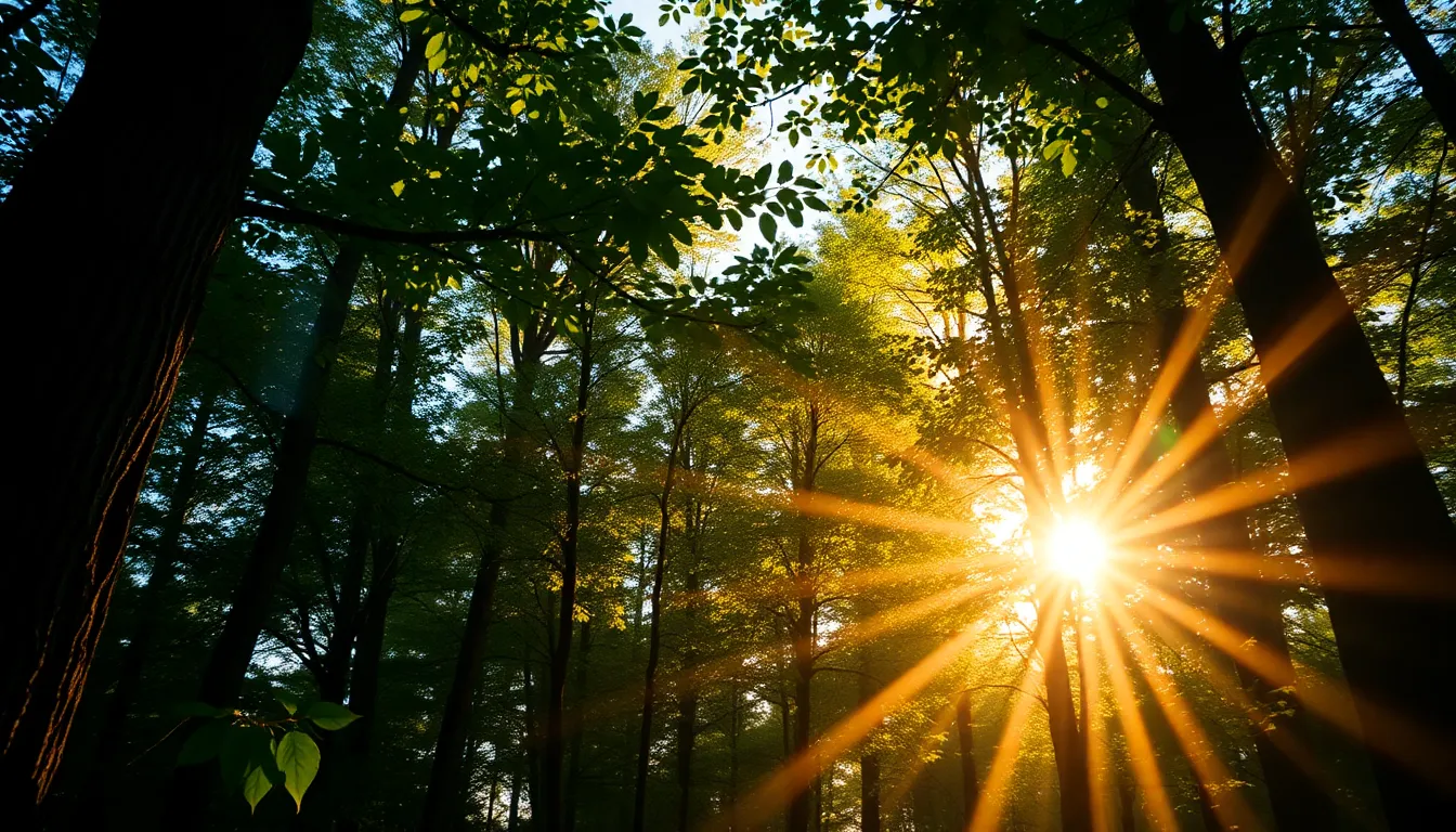Color Spectrum Through Glass Prism