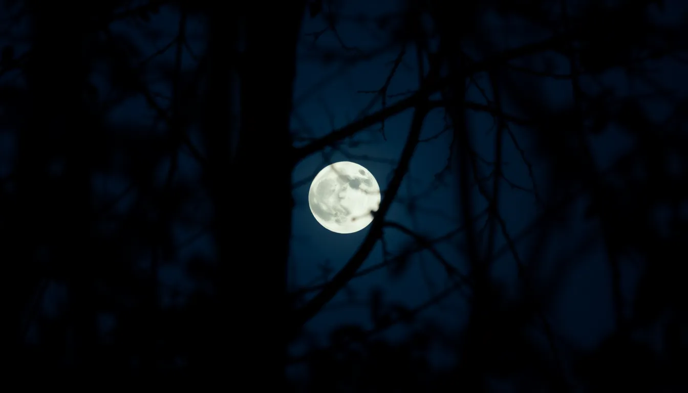 Moon Framed by Silhouetted Tree Branches