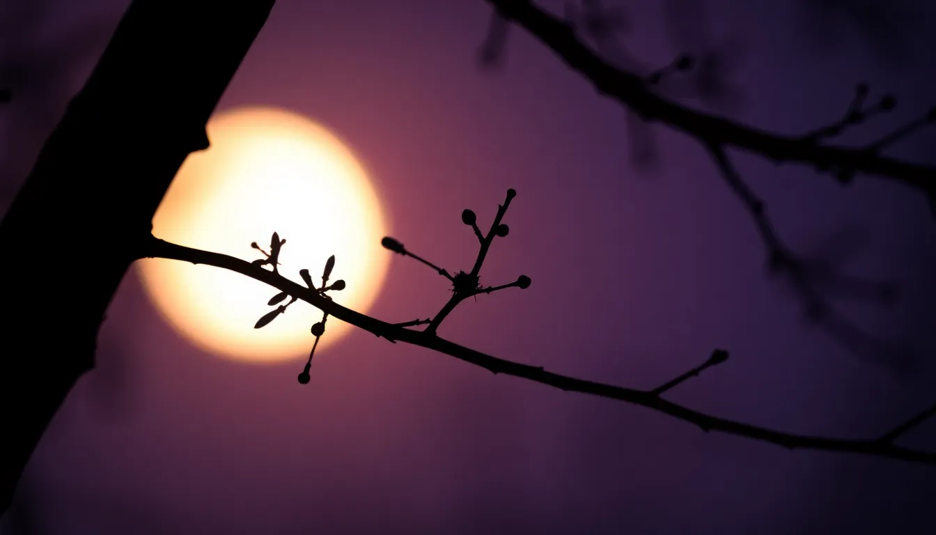 Crescent Moon Silhouette with Tree