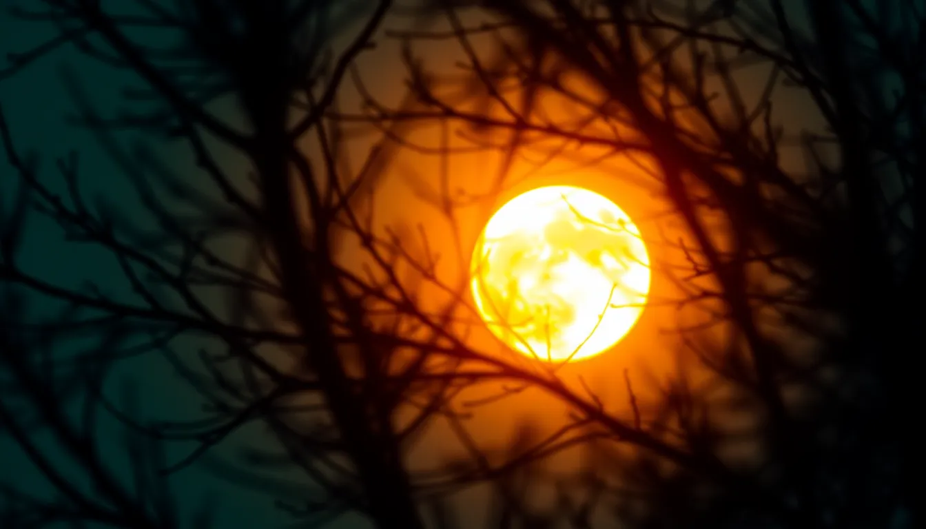 Moonrise Through Tree Silhouettes This captivating image captures a moonrise at golden hour, with the moon's outline framed by silhouetted tree branches. Shot on a Sony A7R V, the warm rim light creates a mesmerizing glow around the moon, while the cinematic teal and orange grading enhances the overall mood. The use of hyperfocal distance ensures sharpness across the scene, and the dynamic composition invites viewers to appreciate the delicate interplay between nature and celestial beauty.
