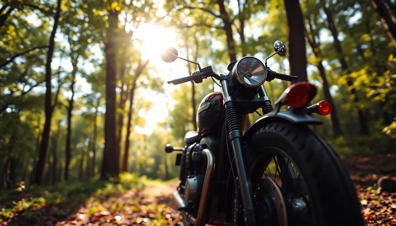 Motorcycle in Serene Forest Setting