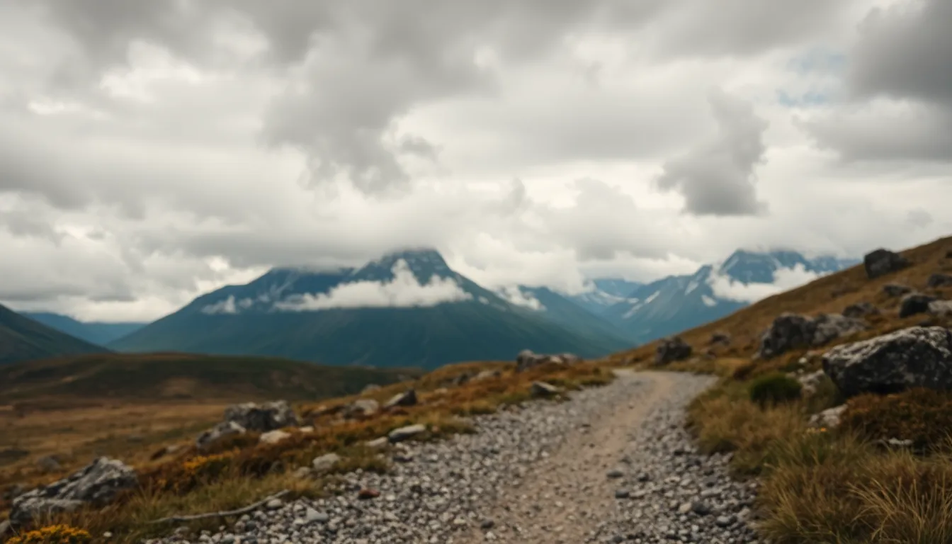 This breathtaking image showcases a serene mountain path leading towards majestic peaks under an overcast sky. The landscape is accentuated by earthy colors and rich textures, inviting viewers to explore the rocky terrain adorned with lichen and resilient grass. The composition employs leading lines to draw the eye toward the imposing mountains, enhancing the depth of the scene. The dramatic cloud cover adds a sense of calm yet dynamic beauty to the atmosphere.