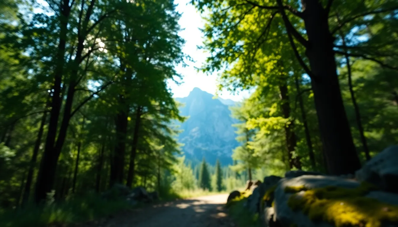This stunning image captures a winding path leading through a dense forest, with towering granite mountains in the background. The dappled sunlight creates a beautiful interplay of light and shadow, enhancing the rich greens of the foliage and the vibrant blue sky. The shallow depth of field beautifully blurs the foreground, allowing the majestic mountain peaks to emerge as the focal point. This serene landscape evokes a sense of adventure and tranquility.