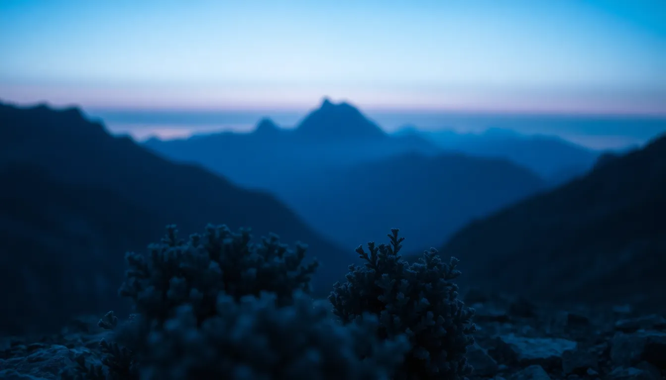 This striking image captures the cool blue tones of twilight as sharp mountain ridges emerge from the darkness. The selective focus brings foreground shrubs into sharp relief, contrasting beautifully with the painterly background. Saturated colors inspired by Fujifilm Velvia enhance the dramatic visual impact, while a symmetrical composition emphasizes the beauty of the silhouetted mountains.