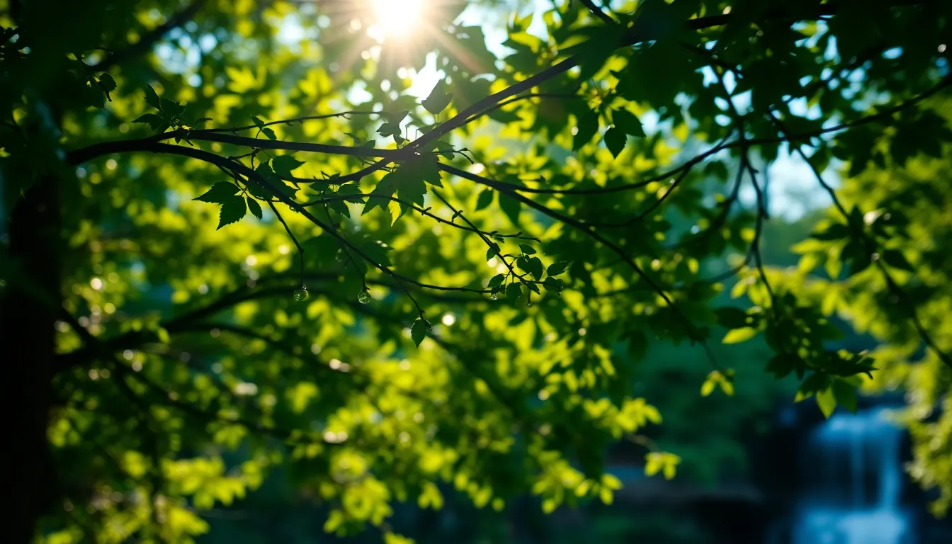 Sunlit Forest Waterfall with Vibrant Canopy This image captures a serene forest scene with a small waterfall nestled among lush greenery. Sunlight filters through the vibrant leaves, creating a beautiful bokeh effect that adds depth. The rich colors of the leaves contrast with the flowing water, evoking a sense of tranquility and natural beauty. Dew droplets cling to the foliage, enhancing the freshness of the morning atmosphere.