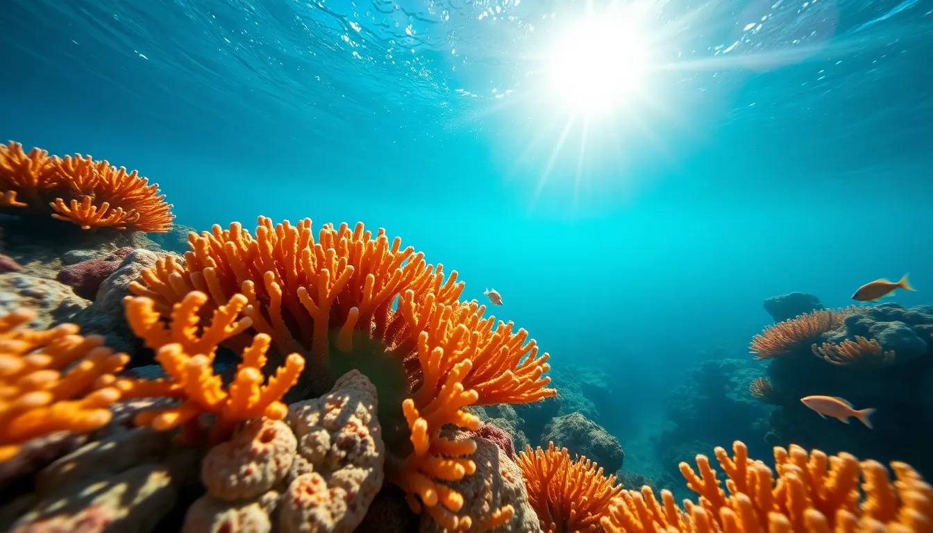 Colorful Coral Reef Underwater Scene