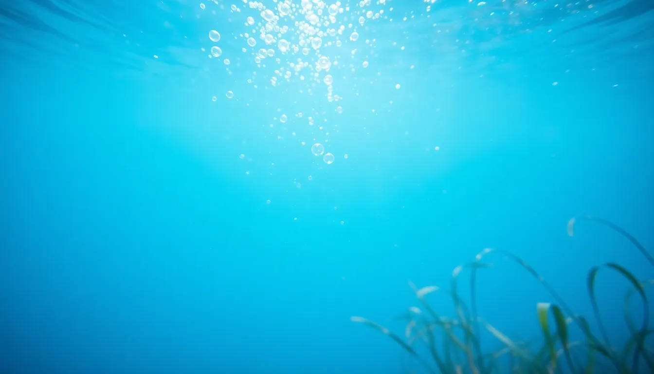 Underwater Light Particles