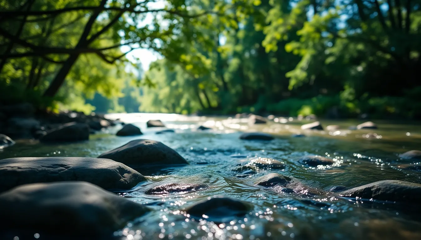 Forest River Meandering Through Nature