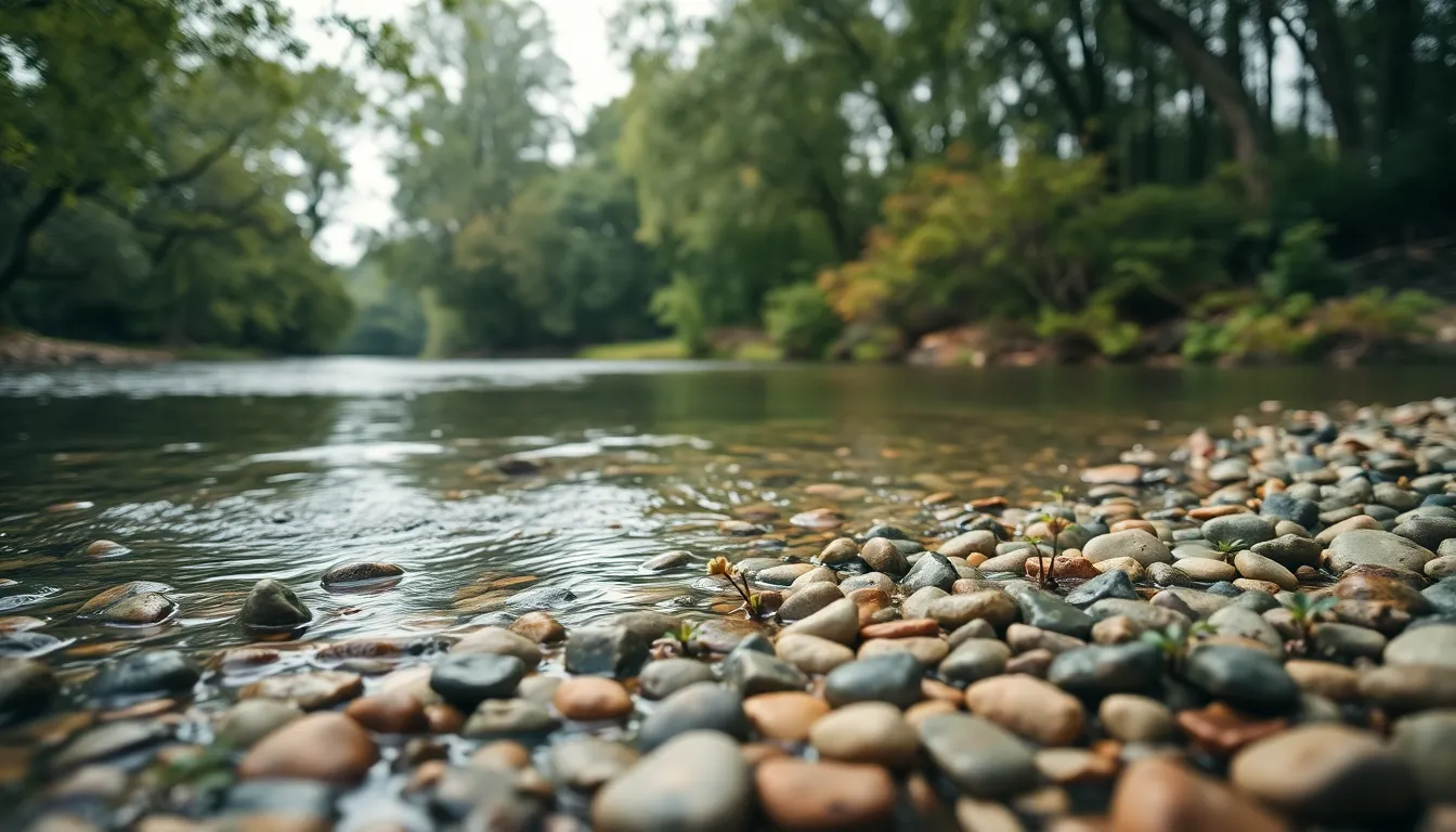 This image showcases a tranquil riverbank under an overcast sky, where soft daylight filters through the leaves. The water is crystal clear, reflecting the muted tones of the surrounding nature, creating a peaceful setting. Pebbles and small plants in the foreground add intricate detail, emphasizing the river's gentle flow. The photograph captures the essence of the wild, offering a serene atmosphere perfect for nature lovers. The sharp focus from foreground to background invites viewers to explore the minute details of the river ecosystem.