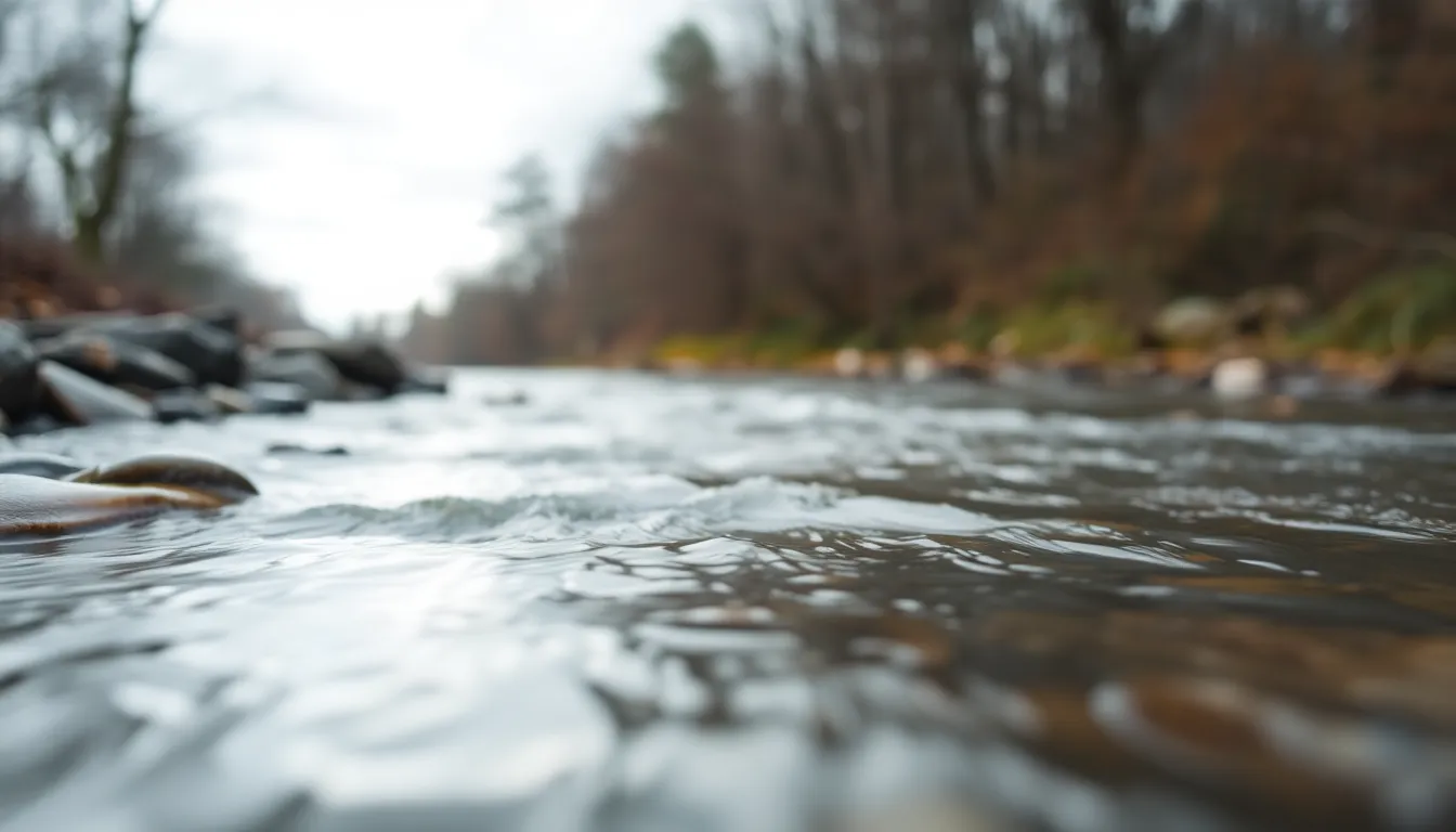 Calm River Under Overcast Skies