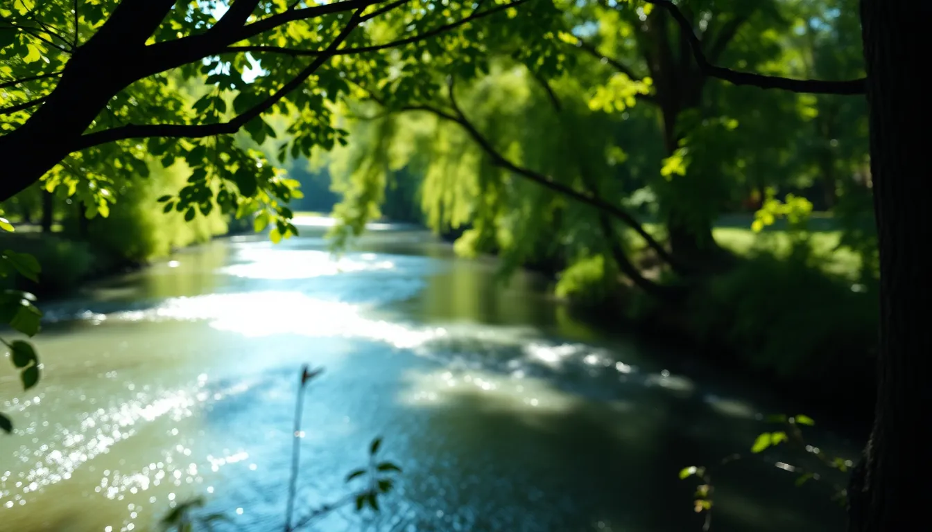 This stunning image captures a river basking in dappled sunlight with a vibrant canopy of trees overhead. The brilliant colors bring out the lush greens and the sparkling blues of the water, creating an enchanting atmosphere. The selective focus draws attention to the water's surface, enhancing the sparkle and motion. Framed by rich foliage, this photograph invites viewers to lose themselves in the beauty of nature's untouched spaces. The varying textures add depth, enriching the visual experience.