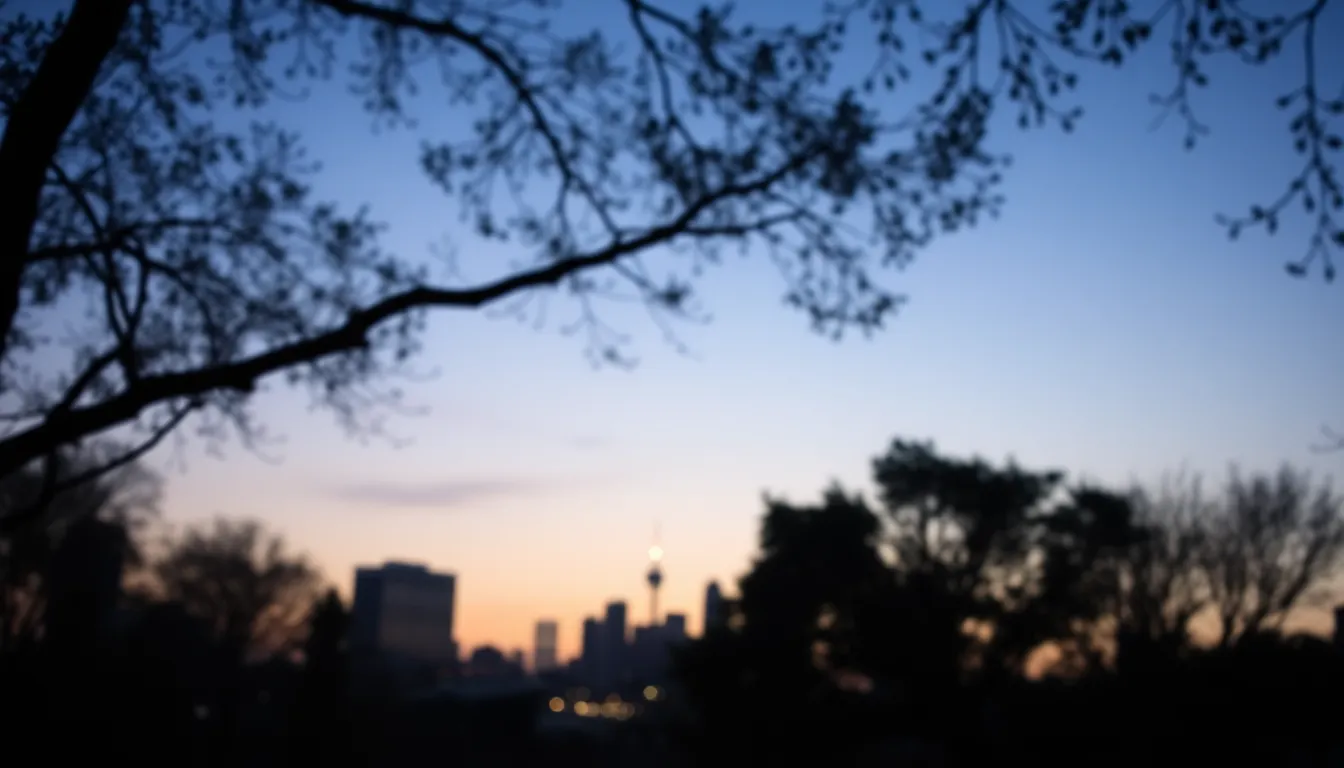 Twilight Skyline Beneath a Starry Sky