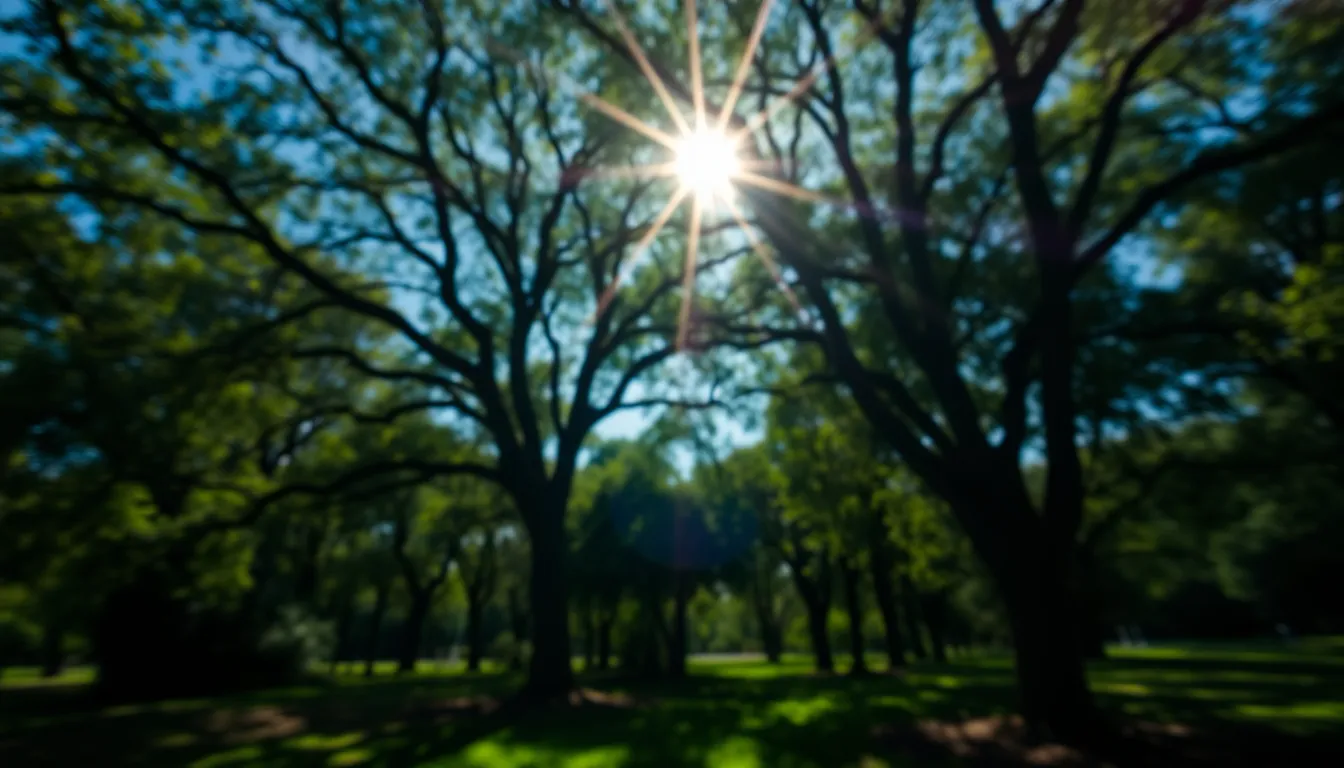 Vibrant City Skyline Framed by Nature