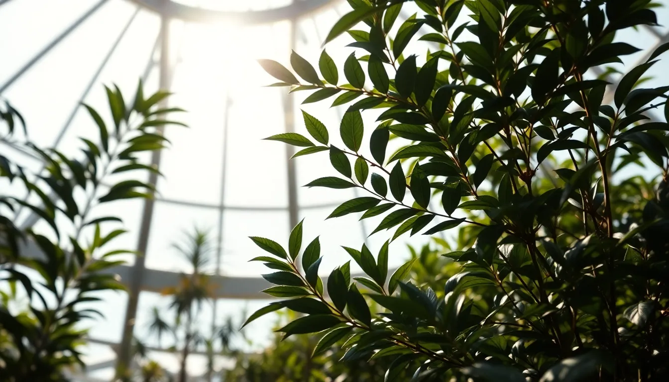 Space Station Greenhouse Interior Immerse yourself in the tranquil environment of a space station's greenhouse with this intricate macro shot. Soft diffused daylight streaming through the observation dome creates an ethereal glow, highlighting the lush greenery within. The hyperfocal distance captures every detail of the foliage in sharp focus against a naturally muted color palette. Compositionally, the greenery is framed beautifully by the dome, while the textures of the leaves and glass create a serene, inviting atmosphere.
