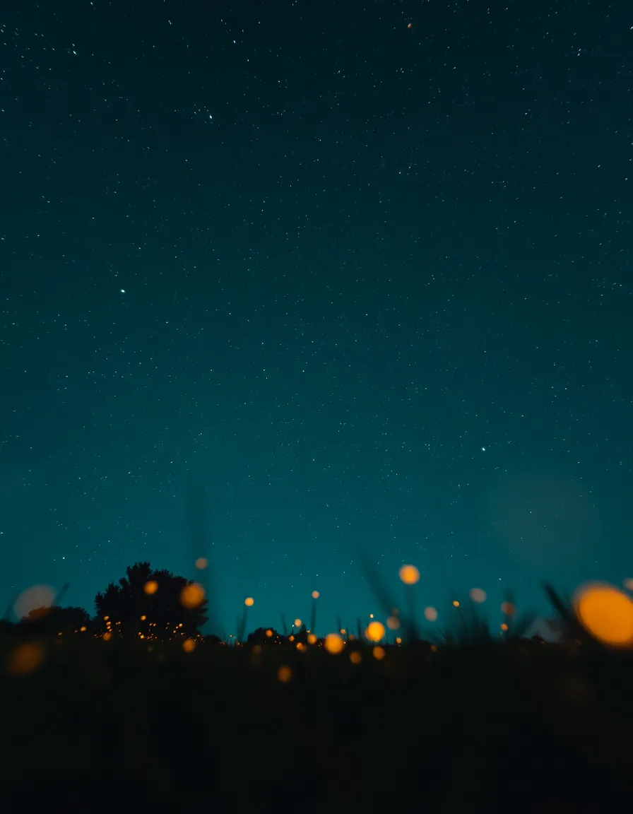 Constellations Etched in Night Sky