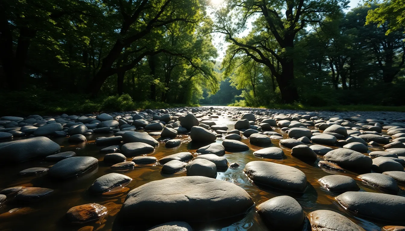 Polished Stones in Tranquil Stream This image features a beautifully composed arrangement of polished stones in a tranquil stream, highlighted by dappled sunlight filtering through the overhead tree canopy. The vibrant colors reminiscent of Fujifilm Velvia bring life to the scene, while the hyperfocal detail captures the serenity of the environment. The symmetry of the composition invites the viewer to explore the peaceful waters and stones further.