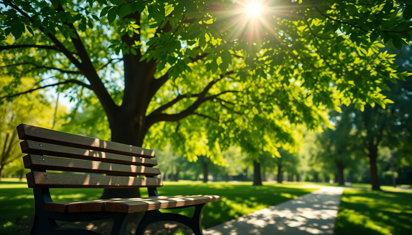 A serene summer scene depicting a sunlit park bench nestled beneath a vibrant green tree. Dappled sunlight creates an inviting atmosphere, enhancing the rich textures of the wood. The blurred foliage in the background adds depth, highlighting the tranquility of a summer day. This composition draws the viewer's eye through the lush greenery, evoking a sense of relaxation and warmth.