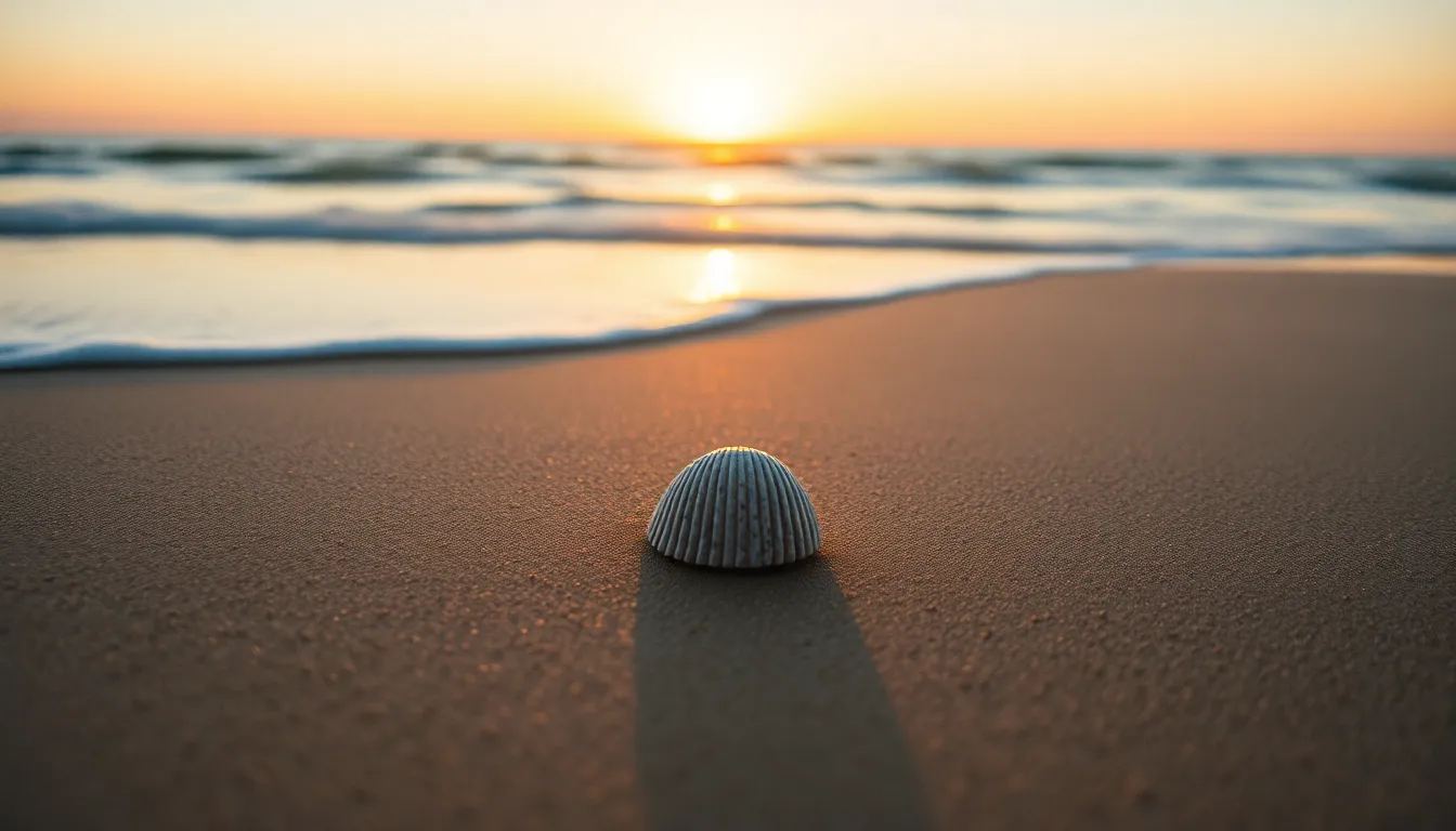 This serene image depicts a tranquil beach at sunset, where gentle waves softly kiss the shore. The warm, golden light casts reflections on the wet sand, creating a soothing atmosphere. A solitary seashell is highlighted in the foreground, surrounded by soft, blurred colors of the sunset. This composition invites viewers to step into a peaceful moment by the ocean.