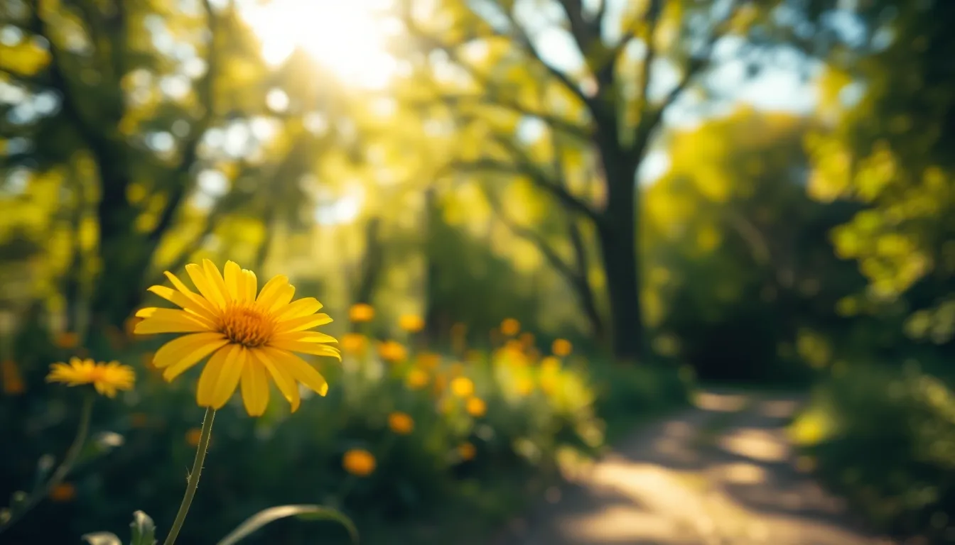 Sunlit Wildflowers in a Forest