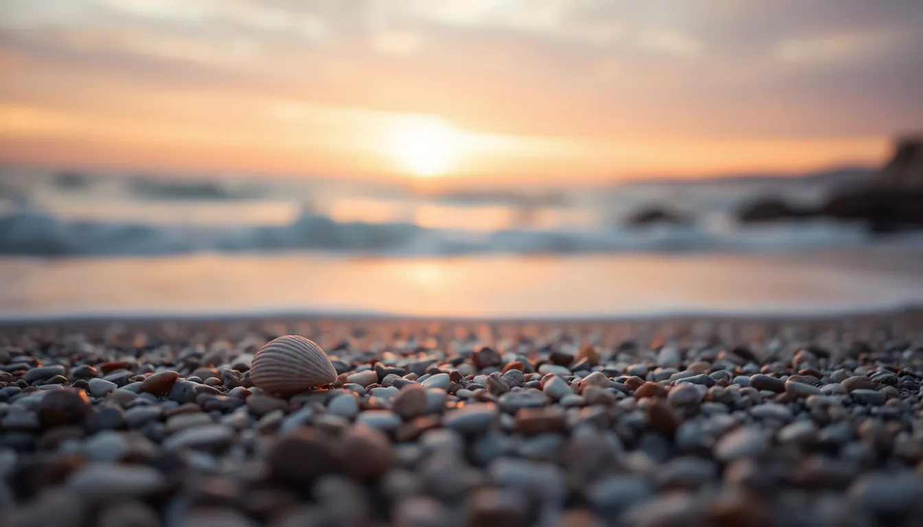 An enchanting beach scene at sunset, showing gentle waves caressing the shore. A solitary seashell sits prominently in the foreground, beautifully detailed against a soft, blurred background of pastel-colored skies. This peaceful image captures the essence of tranquility and the simple beauty of nature, making it perfect for relaxation-themed content.