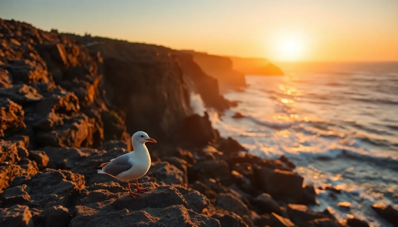 Dramatic Sunset on Rocky Coastline