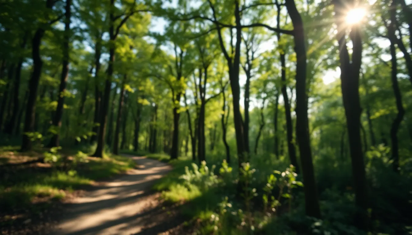 An inviting hiking trail meanders through a serene forest, illuminated by dappled sunlight filtering through the trees. The soft bokeh of the green leaves creates a peaceful atmosphere, while earthy tones enhance the natural beauty of the scene. The composition captures the essence of adventure and tranquility, perfect for those seeking a nature-filled vacation experience. It's an invitation to explore the great outdoors.