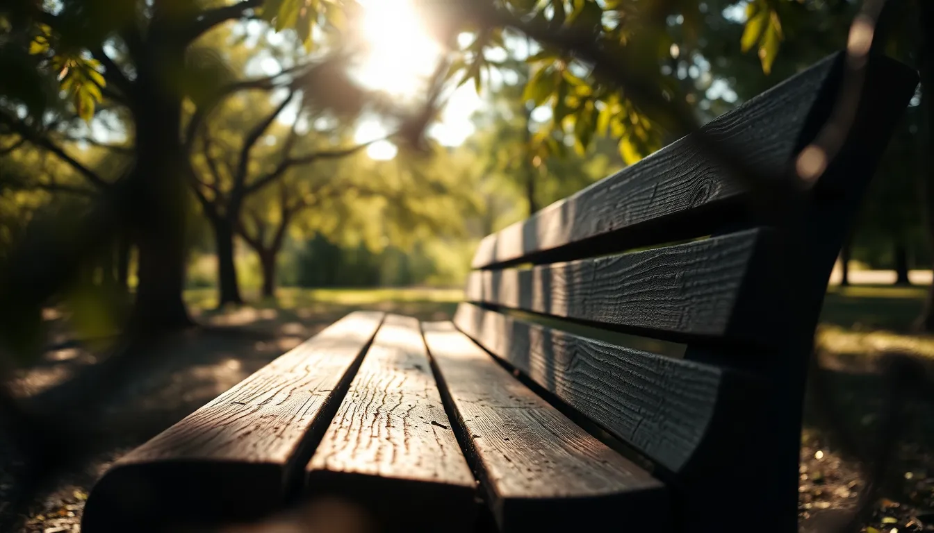 This image features a weathered wooden bench situated in a serene park, illuminated by dappled sunlight filtering through the tree canopy above. The soft highlights on the bench's surface contrast beautifully against the lush greenery in the background, creating an atmosphere of calm and inviting nature. The selective focus emphasizes the texture of the wood while the softly blurred foliage adds to the enchanting mood.