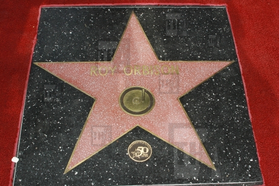 Roy Orbison's star