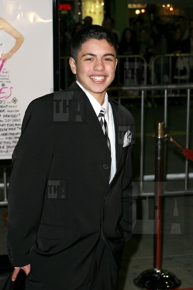 "27 Dresses" Premiere
David C...