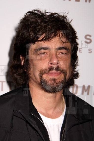 Benicio Del Toro
12/07/10 "So...