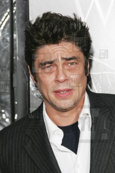 Benicio Del Toro 