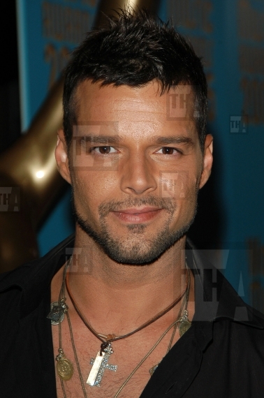 Red Carpet Retro - Ricky Martin