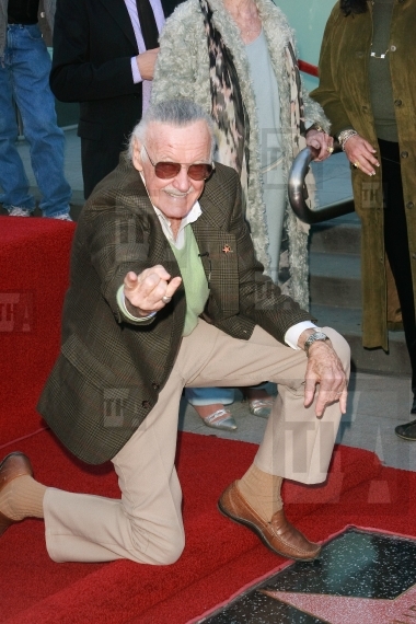 Stan Lee at the Holl...