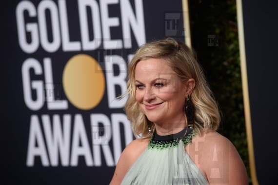 Amy Poehler attends the 7