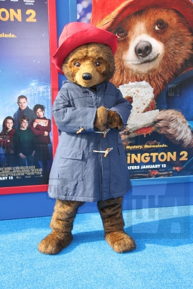 Paddington Bear Character