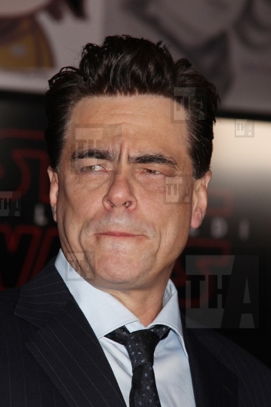 Benicio Del Toro 