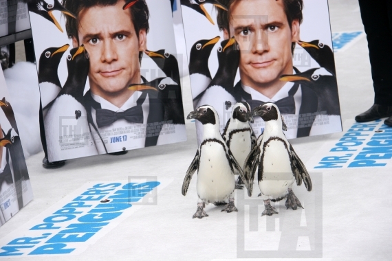 "Mr. Popper's Penguins" Premiere