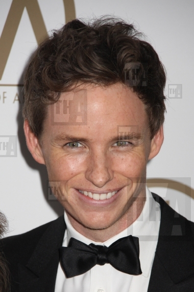 Eddie Redmayne 