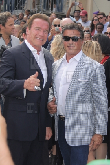 Arnold Schwarzenegger, Sylvester Stallone 