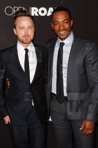 Aaron Paul and Anthony Mackie