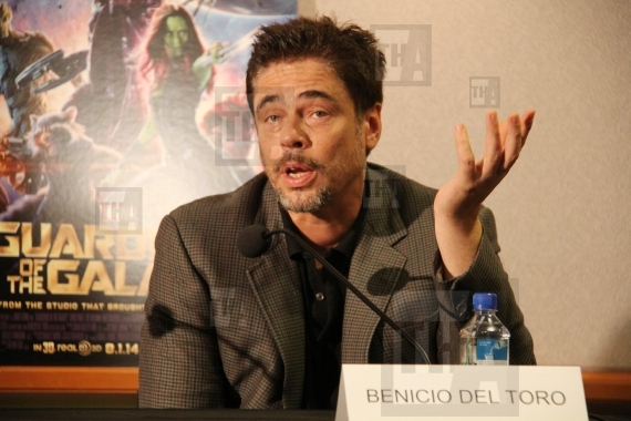 Benicio Del Toro 
07/19/2014 Press Conferenc