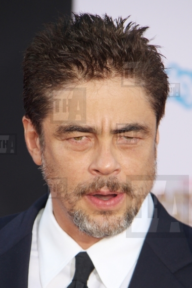 Benicio Del Toro 
07/21/2014 "Guardians 