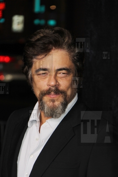 Benicio Del Toro 
12/10/2014 "Inherent Vice"