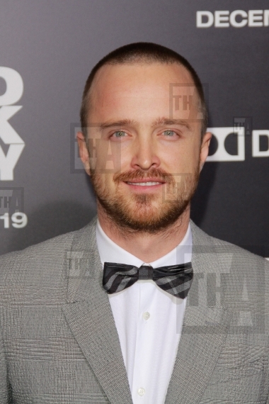 Aaron Paul