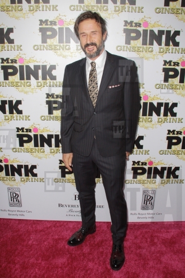 David Arquette
10/11/2012 Mr. Pink Gins