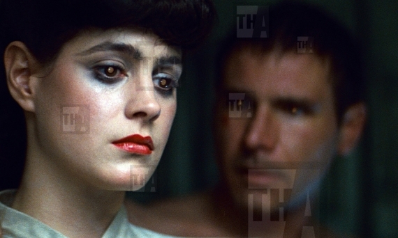 Sean Young, Harrison Ford