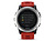 Garmin Fenix 3 Silver (010-01338-06)