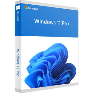 Microsoft Windows 11 Pro 64Bit Russian Intl 1pk DSP OEI DVD (FQC-10547)