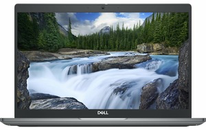 Dell Latitude 5340 (N017L534013UA_W11P) Grey